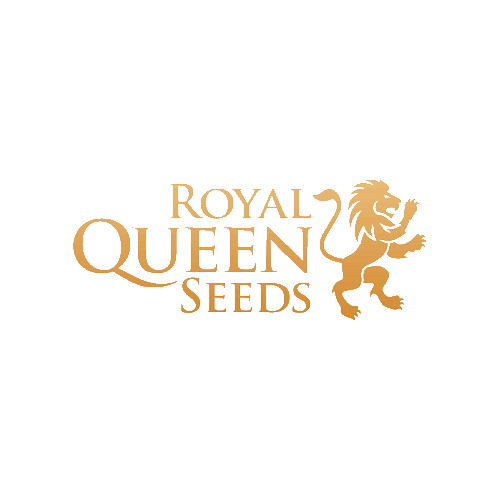 Royal -Queen Seeds