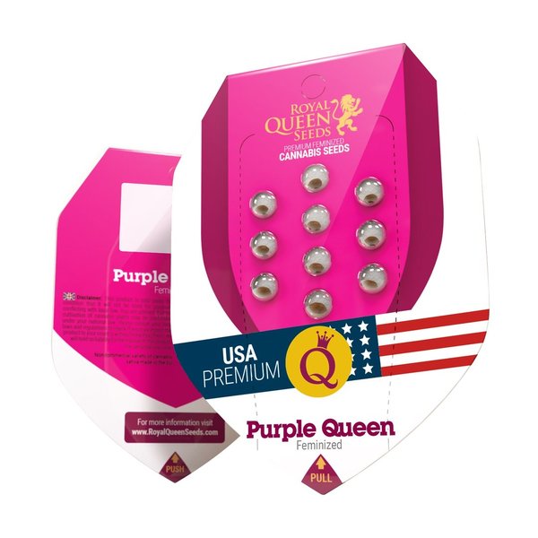 Purple Queen, FEM 3er - Royal Queen Seeds