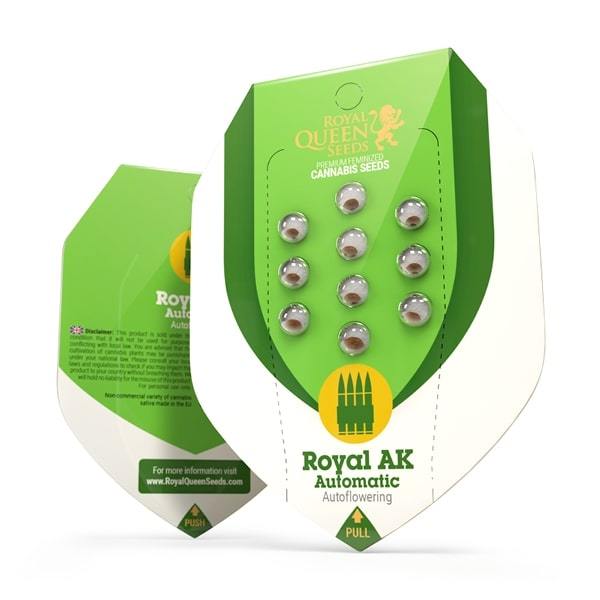 Royal AK, AUTO 3er - Royal Queen Seeds