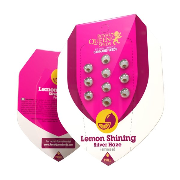 Lemon Shining Silver Haze - Hanfsamen feminisiert 3er - Royal Queen Seeds