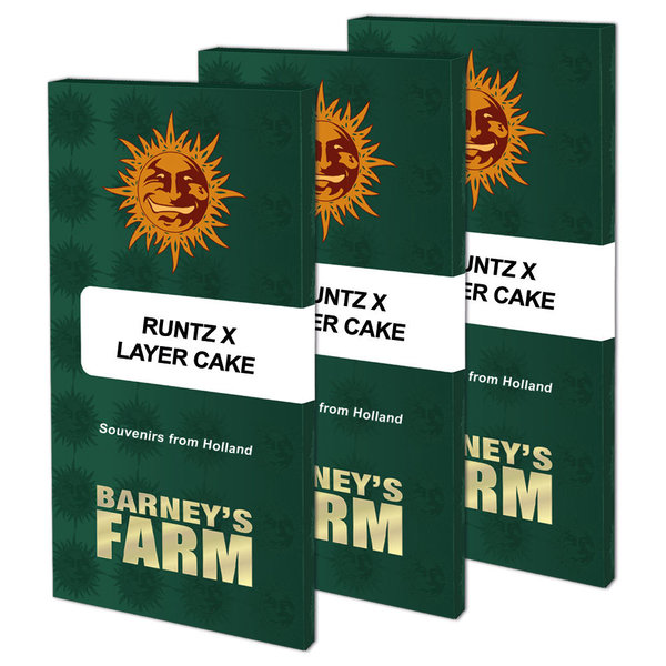 Runtz x Layer Cake - feminisierte Hanfsamen - Barney's Farm