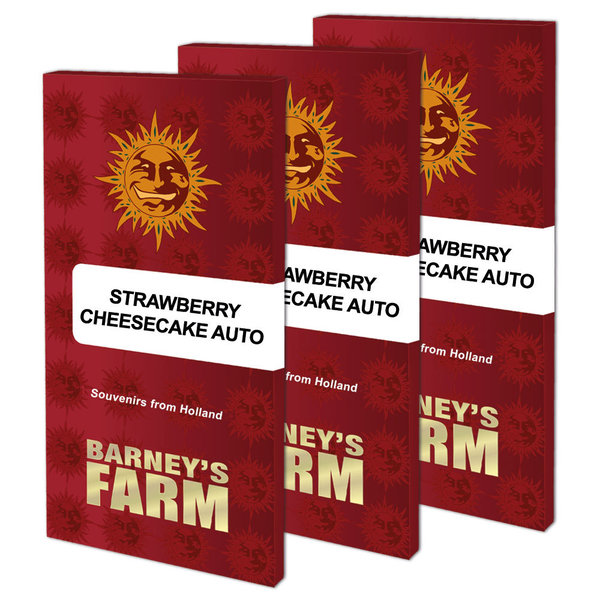 Strawberry Cheesecake - Auto Hanfsamen - Barney's Farm