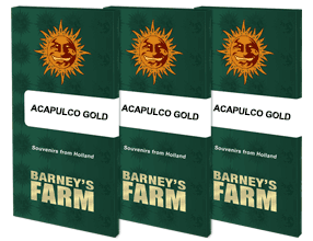 Acapulco Gold - feminisierte Hanfsamen - Barney's Farm