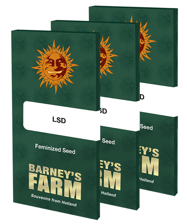 LSD - feminisierte Hanfsamen - Barney's Farm
