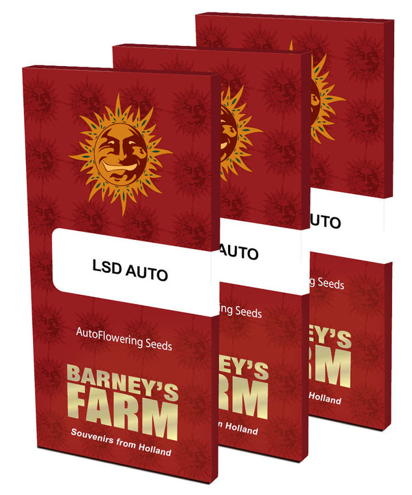 LSD - Auto Hanfsamen - Barney's Farm